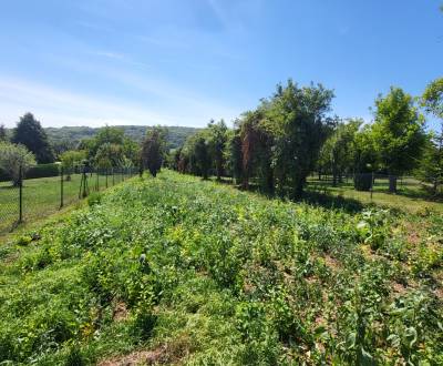 Sale Land – for living, Land – for living, Neusiedl am See, Austria