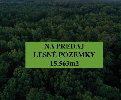 Sale Agrarian and forest land, Agrarian and forest land, Senica, Slova