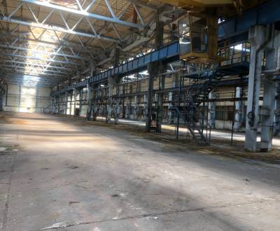 FOR RENT - MANUFACTURING HALL, 6000 m2, MEDZILABORCE
