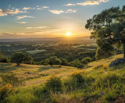 Sale Agrarian and forest land, Agrarian and forest land, Turany, Marti