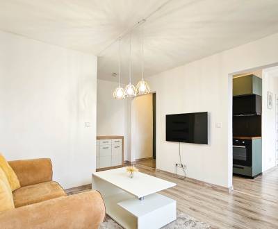 Sale One bedroom apartment, One bedroom apartment, Rašu, Bratislava - 