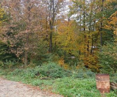 Sale Recreational land, Recreational land, Poľany Monika, Vranov nad T