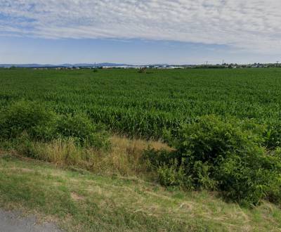 Sale Development land, Development land, Bratislavská, Senec, Slovakia