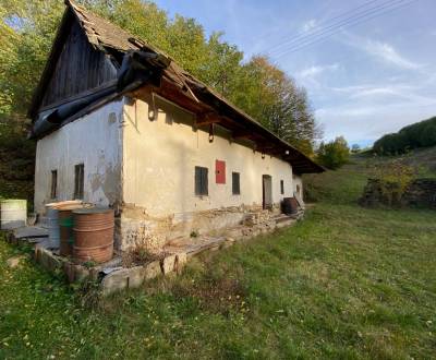 Sale Cottage, Cottage, Detva, Slovakia