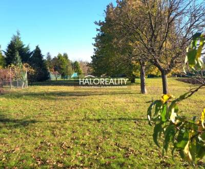 Sale Family house, Senica, Slovakia