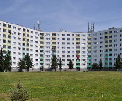 Searching for One bedroom apartment, One bedroom apartment, Bottova, B