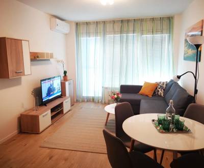 Rent One bedroom apartment, One bedroom apartment, Hrachová, Bratislav