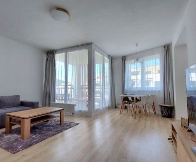 Rent One bedroom apartment, One bedroom apartment, Vladimíra Predmersk