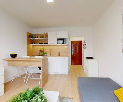 Rent Single studio, Single studio, Vodná, Komárno, Slovakia