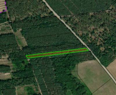 Sale Agrarian and forest land, Agrarian and forest land, Senica, Slova
