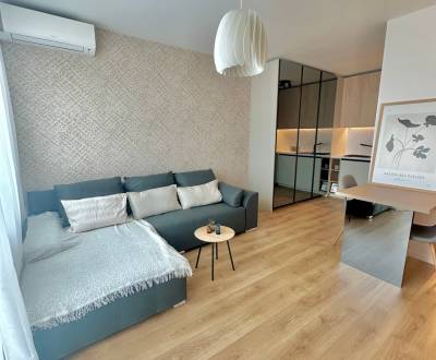 Rent One bedroom apartment, One bedroom apartment, Ivanská cesta, Brat