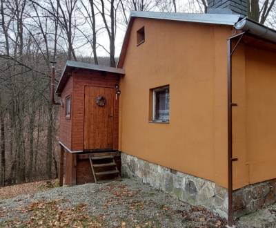 Sale Cottage, Cottage, Zemianske Podhradie, Nové Mesto nad Váhom, Slov
