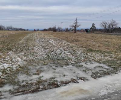 Sale Recreational land, Recreational land, Samoty, Skalica, Slovakia