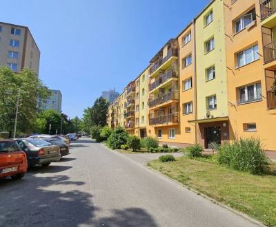 Searching for One bedroom apartment, One bedroom apartment, Hliny VII,