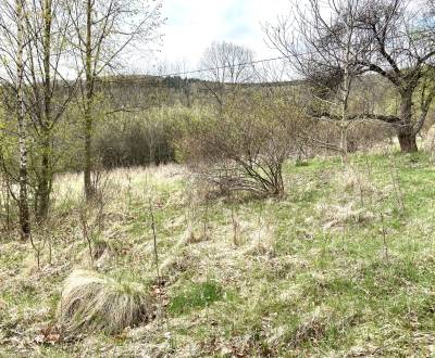 Sale Land – for living, Land – for living, Detva, Slovakia