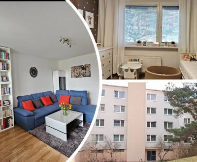 Sale Two bedroom apartment, Two bedroom apartment, Cabanova, Bratislav