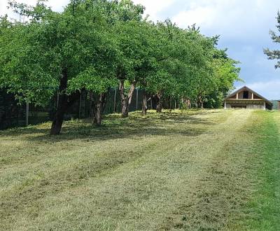 Sale Land – for living, Land – for living, Medzany, Prešov, Slovakia