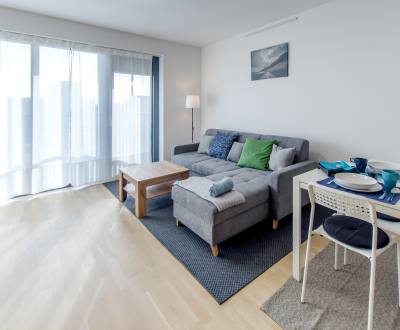 Beautiful spacious 1 bdr apt 49m2 with balcony and parking, GUTHAUS
