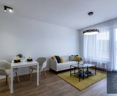 Rent One bedroom apartment, One bedroom apartment, Michala Bučiča, Bra