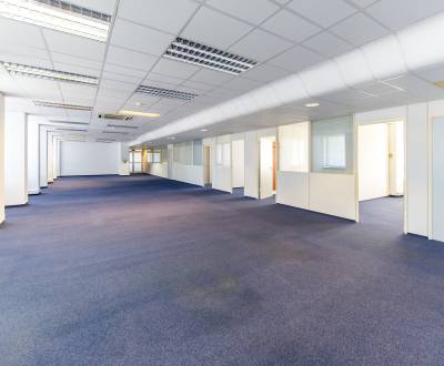 Administrative spaces 310m2, layout changes, parking, INCHEBA TOWER