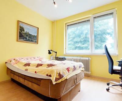 Rent One bedroom apartment, One bedroom apartment, P.O. Hviezdoslava, 
