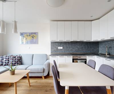 Modern apartment in Nobelova project