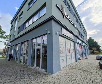 Rent Commercial premises, Commercial premises, Nitra, Slovakia
