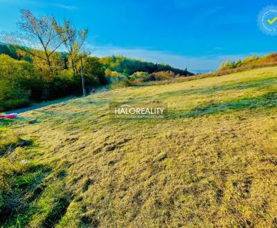 Sale Land – for living, Zvolen, Slovakia