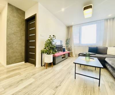 Rent One bedroom apartment, One bedroom apartment, Lesnicka, Košice - 