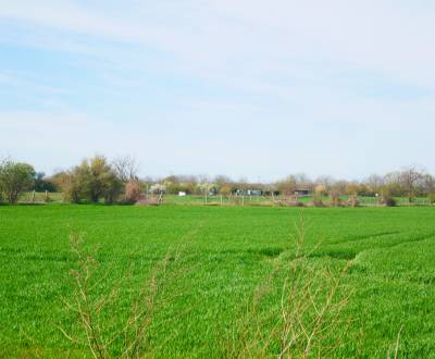 Sale Land – for living, Land – for living, Petržalská, Bratislava - Ču