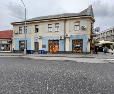 Rent Commercial premises, Commercial premises, Pribinova, Hlohovec, Sl