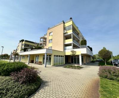 Sale Commercial premises, Commercial premises, K lodenici, Piešťany, S