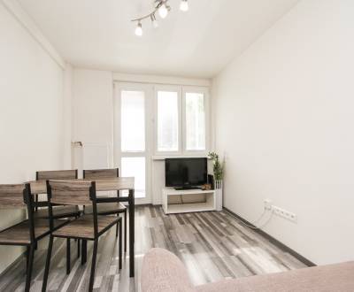 Sale One bedroom apartment, One bedroom apartment, Pod Sokolice, Trenč
