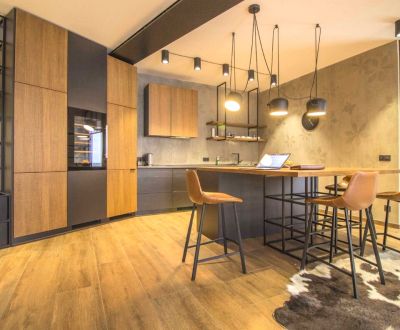 Rent One bedroom apartment, One bedroom apartment, Zámocká, Bratislava
