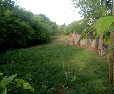 Sale Land – for living, Land – for living, Kocurice, Piešťany, Slovaki