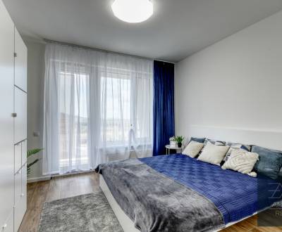 Rent One bedroom apartment, One bedroom apartment, Michala Bučiča, Bra