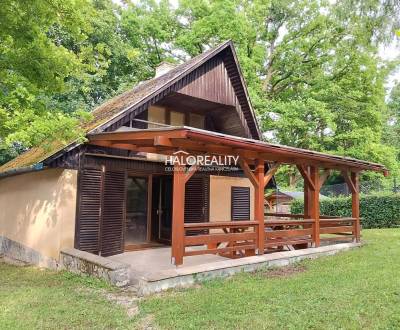 Sale Cottage, Trebišov, Slovakia
