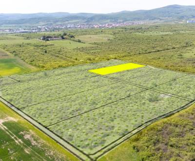 Sale Land – for living, Land – for living, Dolná, Pezinok, Slovakia