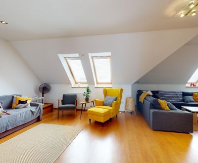 Duplex apartment with a terrace on the roof