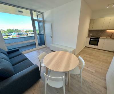 Rent One bedroom apartment, One bedroom apartment, Nitrianska, Hlohove