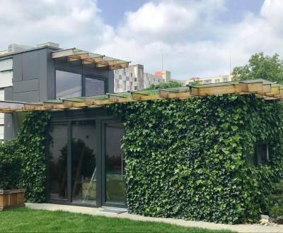 Rent Family house, Family house, Korytnická, Bratislava - Podunajské B