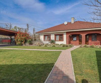 Sale Family house, Family house, Lesné Kračany, Dunajská Streda, Slova