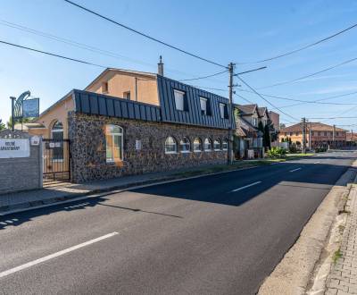 Sale Hotels and pensions, Hotels and pensions, ., Dunajská Streda, Slo