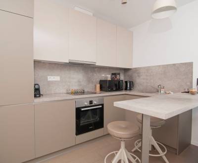 Rent One bedroom apartment, One bedroom apartment, Radlinského, Bratis