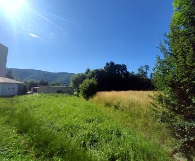 Land plots - commercial, Fraňa Kráľa, Sale, Žarnovica, Slovakia