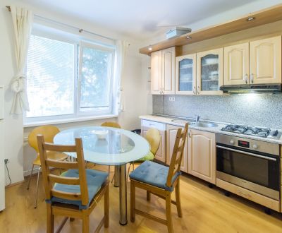 Pleasant, spacious 1bdr apt 61m2, in great area near Nivy