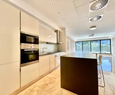 Rent Four+ bedroom apartment, Four+ bedroom apartment, Hlboká cesta, B