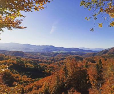 Sale Agrarian and forest land, Agrarian and forest land, Púchov, Slova