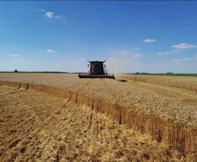 Sale Agrarian and forest land, Agrarian and forest land, Nitra, Slovak
