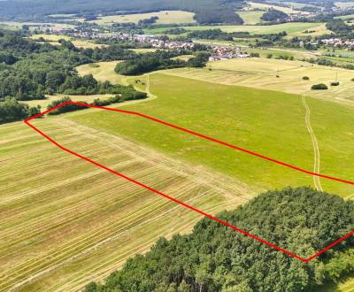 Sale Agrarian and forest land, Agrarian and forest land, Prievidza, Sl